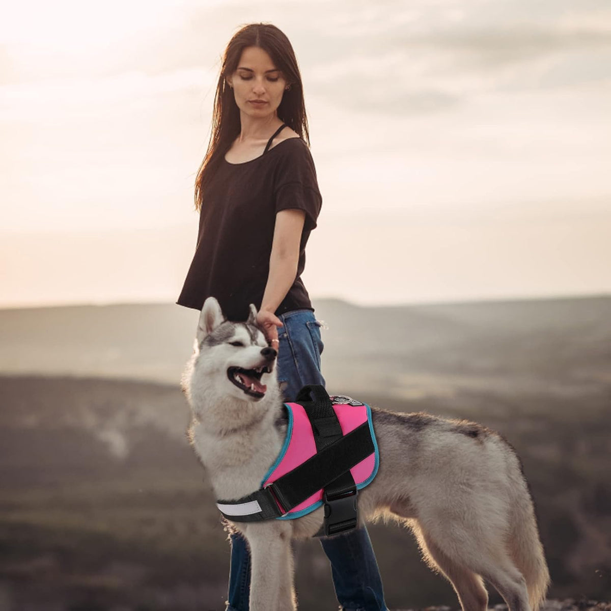 Bolux Dog Harness, No-Pull Reflective Dog Vest, Breathable Adjustable Pet Harness with Handle for Outdoor Walking - No More Pulling, Tugging or Choking Small (Pack of 1) RoseTurquoise