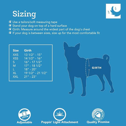 RC Pet Products Cirque Soft Walking Step-in Dog Harness, Pineapple Parade, X-Small