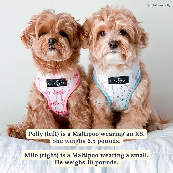 Lucy & Co. Reversible Dog Harness - Water-Repellent Neoprene, Dual-Print Design, Easy Swap Style, Adjustable Comfort Fit - Take a Bow Reversible Harness - Large