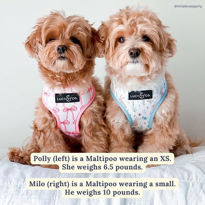 Lucy & Co. Reversible Dog Harness - Water-Repellent Neoprene, Dual-Print Design, Easy Swap Style, Adjustable Comfort Fit - Take a Bow Reversible Harness - Large