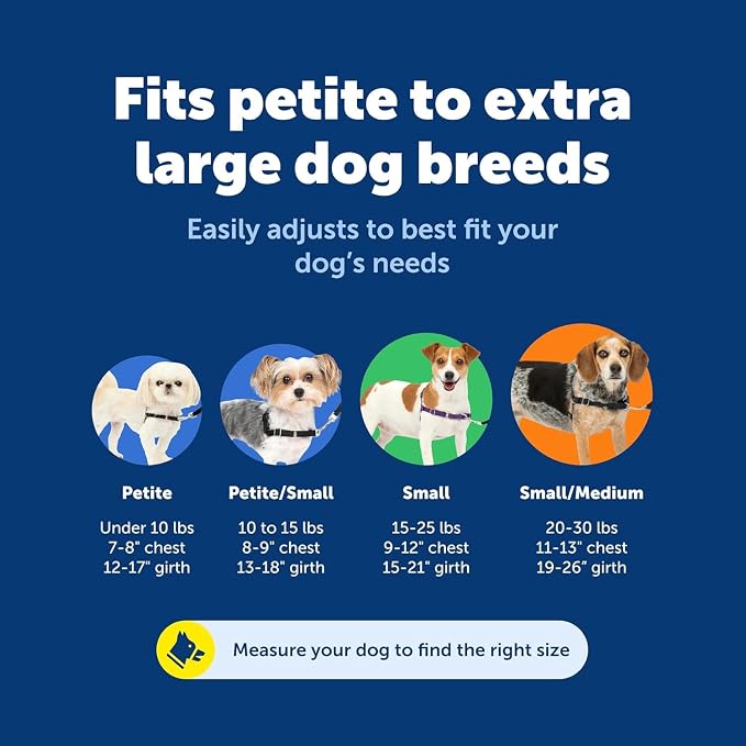 PetSafe Easy Walk Harness, No Pull Dog Harness, Royal Blue, Small/Medium | Patented Martingale Loop Gives Gradual Shoulder Pressure to Stop Pulling, Front-Chest Leash Clip Prevents Gagging