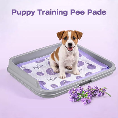 Lavender Puppy Pads-24"x 24", 50 Count Disposable Dog Pee Pads | 6-Layer Super Absorbent Quick Dry Leakproof Dog Pads with Adhesive Tabs, Odor Control Pee Pads for Dog Indoor Crate Training