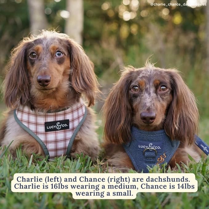 Lucy & Co. Reversible Dog Harness - Water-Repellent Neoprene, Dual-Print Design, Easy Swap Style, Adjustable Comfort Fit - Camp Out Reversible Harness - X-Small