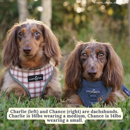 Lucy & Co. Reversible Dog Harness - Water-Repellent Neoprene, Dual-Print Design, Easy Swap Style, Adjustable Comfort Fit - Camp Out Reversible Harness - Medium