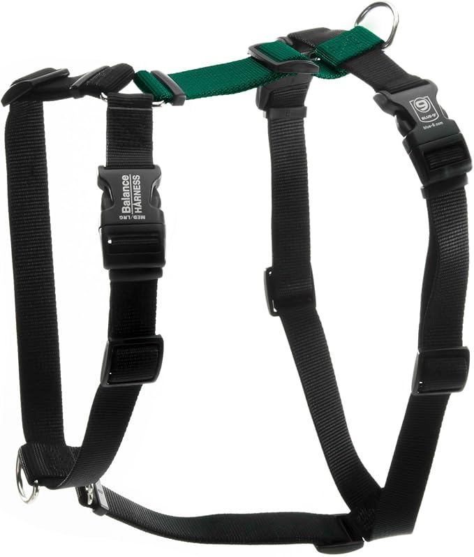Blue-9 Buckle-Neck Balance Harness, Fully Customizable Fit No-Pull Harness, Ideal for Dog Training and Obedience, Made in The USA, Hunter Green, Small
