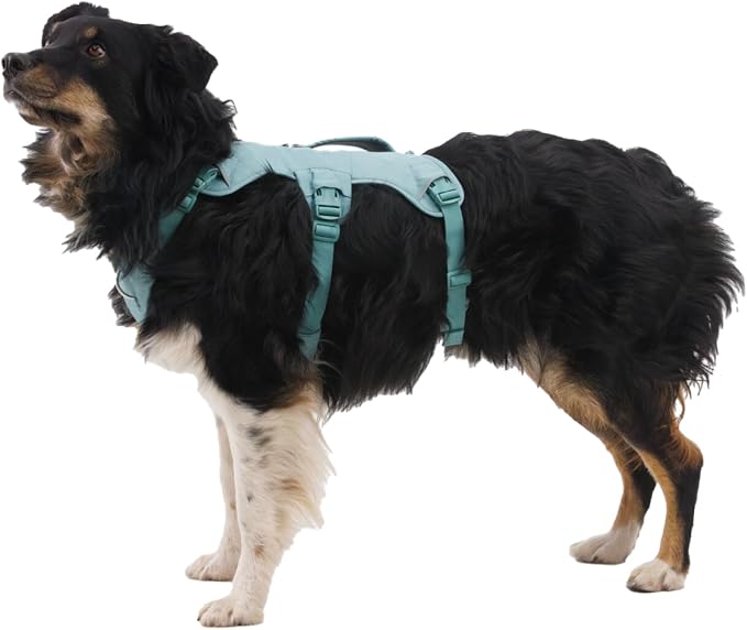 Ruffwear, Web Master, Multi-Use Support Dog Harness, Hiking and Trail Running, Service and Working, Everyday Wear, River Rock Green, Medium