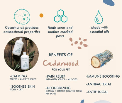 Cedarwood + Sage Shampoo and Conditioner Set, warm & herbal sage fuse with hints of camphor & eucalyptus in cedarwood, Formulated for All Pets, Gentle and Cleansing, Made in USA 16 fl oz