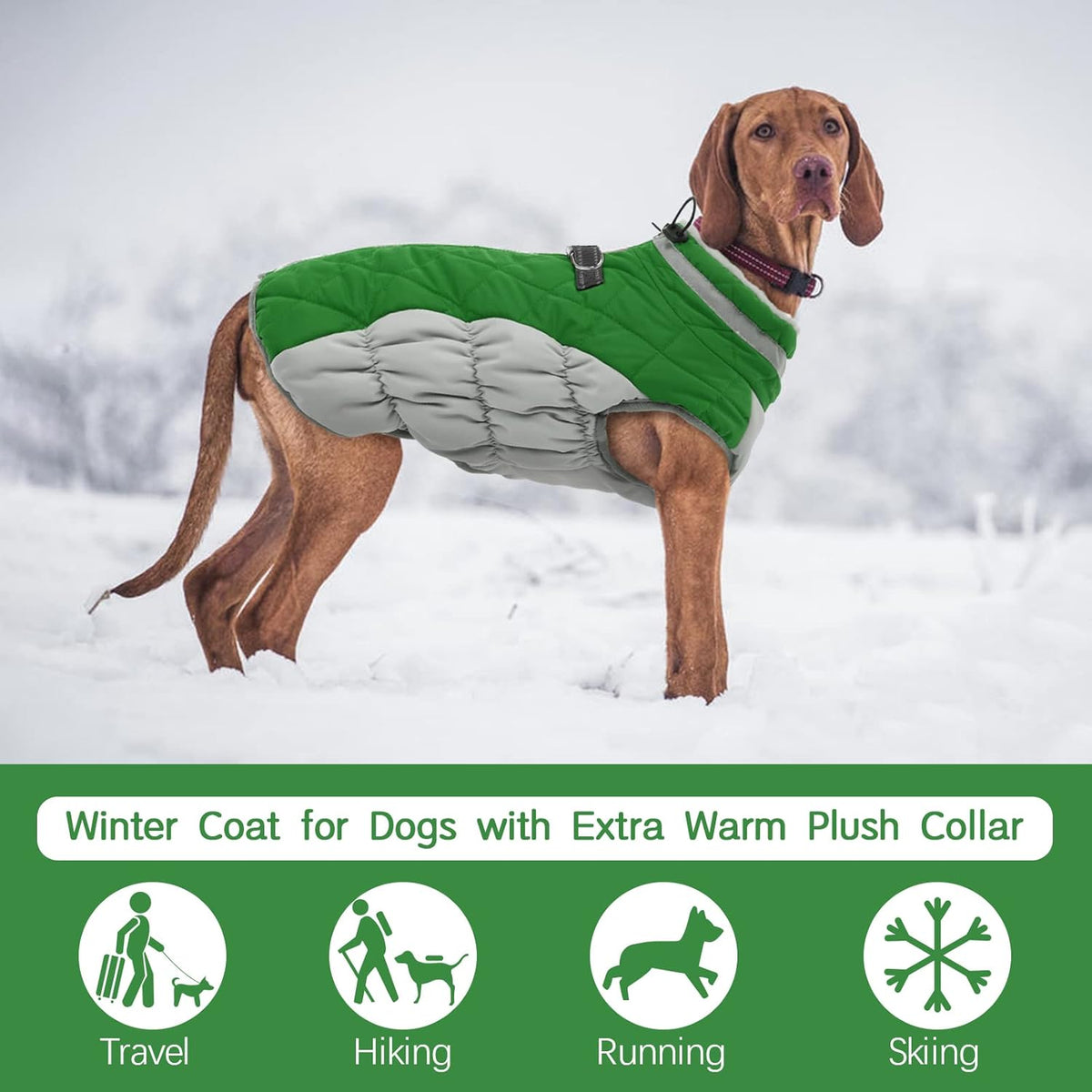 FUAMEY Dog Coat for Small Dogs,Waterproof Dog Winter Jacket with Harness Built in Puppy Cold Weather Coats Reflective Pet Vest with Zipper Warm Fleece Dogs Snowsuit Windproof Green S