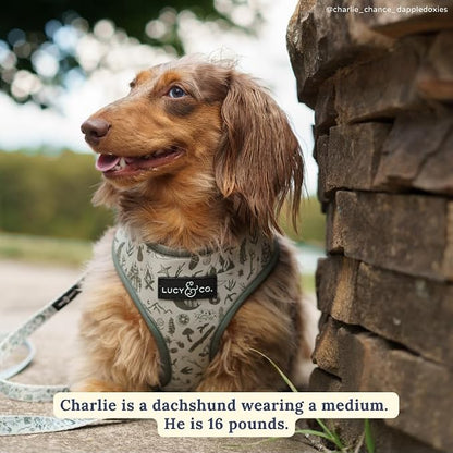 Lucy & Co. Reversible Dog Harness - Water-Repellent Neoprene, Dual-Print Design, Easy Swap Style, Adjustable Comfort Fit - Camp Out Reversible Harness - X-Small