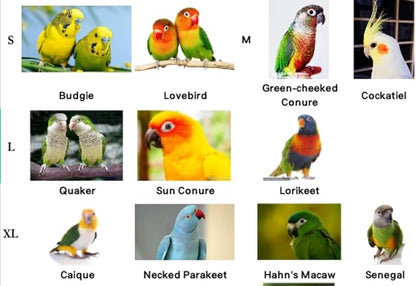 Pet Parrot Bird Harness Leash Adjustable Bird Flying Harness Traction Rope with Cute Wing for Parrots Pigeons Budgerigar Lovebird Cockatiel Mynah Outdoor Training Toy (L, Yellow)