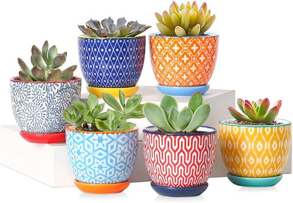 Selamica Ceramic 2.4 Inch Succulent Pots, Mini Flower Pots for Cactus Plant with Drainage Holes & Saucers, Home Decor, Set of 6, Assorted Colors