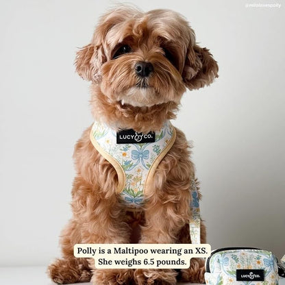 Lucy & Co. Reversible Dog Harness - Water-Repellent Neoprene, Dual-Print Design, Easy Swap Style, Adjustable Comfort Fit - Sunshine Daffodils Reversible Harness - X-Small