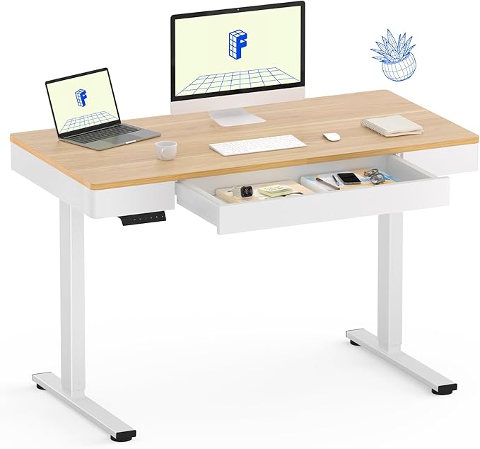 FLEXISPOT Q5 Standing Desk