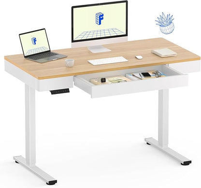 FLEXISPOT Q5 Standing Desk