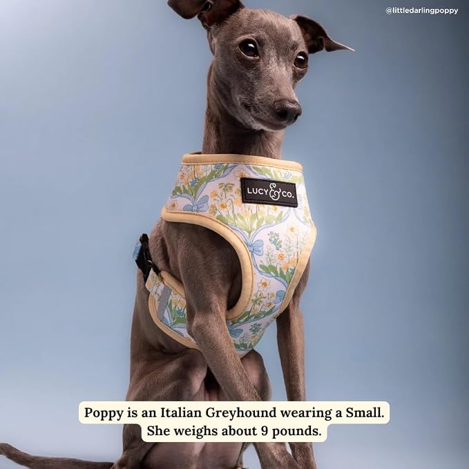 Lucy & Co. Reversible Dog Harness - Water-Repellent Neoprene, Dual-Print Design, Easy Swap Style, Adjustable Comfort Fit - Sunshine Daffodils Reversible Harness - Large