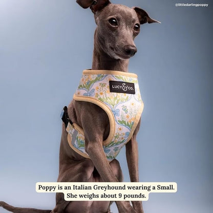 Lucy & Co. Reversible Dog Harness - Water-Repellent Neoprene, Dual-Print Design, Easy Swap Style, Adjustable Comfort Fit - Sunshine Daffodils Reversible Harness - Large