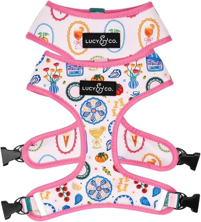 Lucy & Co. Dolce Vita Reversible Dog Harness, Adjustable Comfort Fit with Dual Leash Attachments, Large