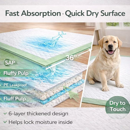 Gimars 4XL 36"x36" Thicken Heavy Absorbency Dog Pad Extra Large- Jumbo Disposable Polymer Quick Dry No Leaking Pee Pads for Dogs, Cats, Rabbits Pets 30 Counts-Green