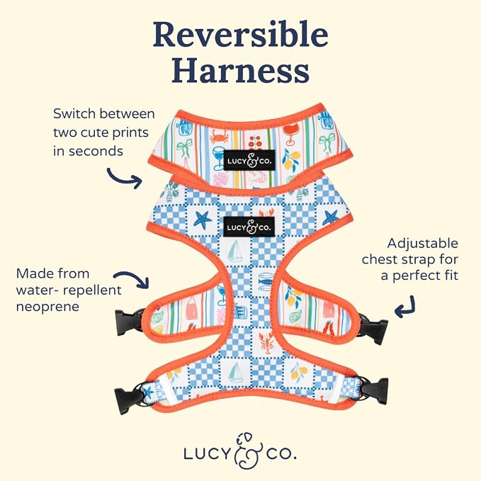 Lucy & Co. Sunny in Sicily Reversible Dog Harness, Adjustable Comfort Fit with Dual Leash Attachments, X-Small