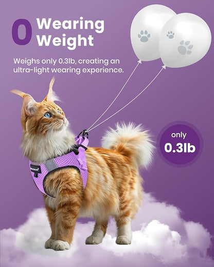 FAYOGOO Cat Harness, Cat Leash and Harness Set for Walking Escape Proof, Harness for Small Cats/Small Dogs, Large Kitten/Puppy Harness and Leash, Harness for Cats,XXL(Modern Violet, Medium)