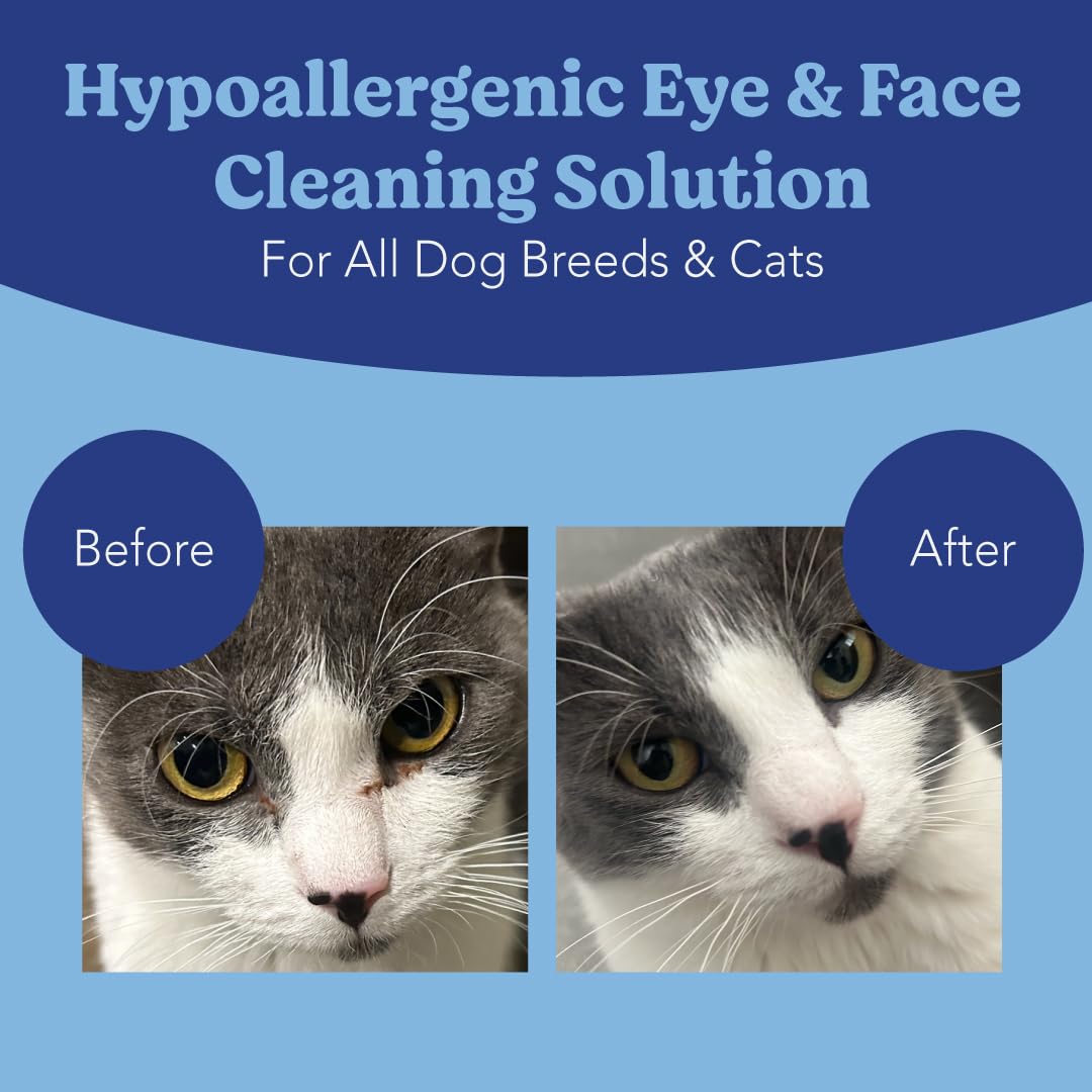 ANGELS' EYES Gentle Tear Stain & Pet Eye Wipes for All Dogs & Cats Textured Grooming Wipes Remove Discharge & Mucus, Reduce Tear Stains, Hypoallergenic with Aloe & Chamomile, 100ct