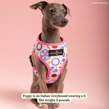 Lucy & Co. Dolce Vita Reversible Dog Harness, Adjustable Comfort Fit with Dual Leash Attachments, Large