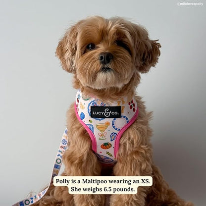 Lucy & Co. Dolce Vita Reversible Dog Harness, Adjustable Comfort Fit with Dual Leash Attachments, Large