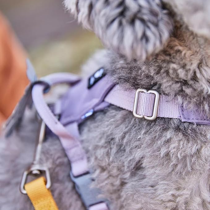 Hurtta Seeker Harness, Stream, 14-18 in