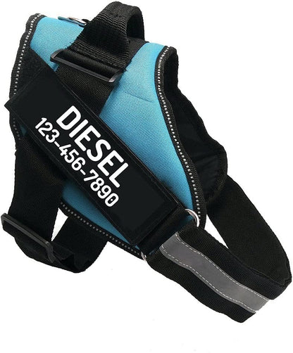 PawPawify Custom No Pull Dog Harness with Name and Phone Number, Heavy Duty Personalized Pet Vest to Prevent Tugging, Pulling, or Choking, Training and Walking (SkyBlue, M (20-40 LBS))