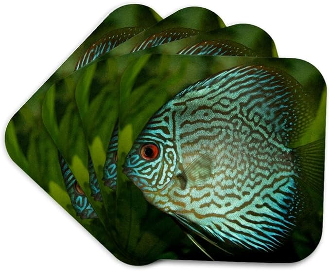 3dRose Blue Exotic Discus Fish Set of 4 Coasters - Cork