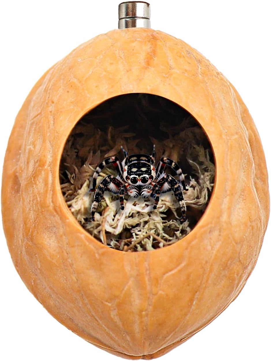 2 Pack Jumping Spider Enclosure Accessories with Walnut Shell Moss and Magnet, Natural Material Jumping Spider Hide