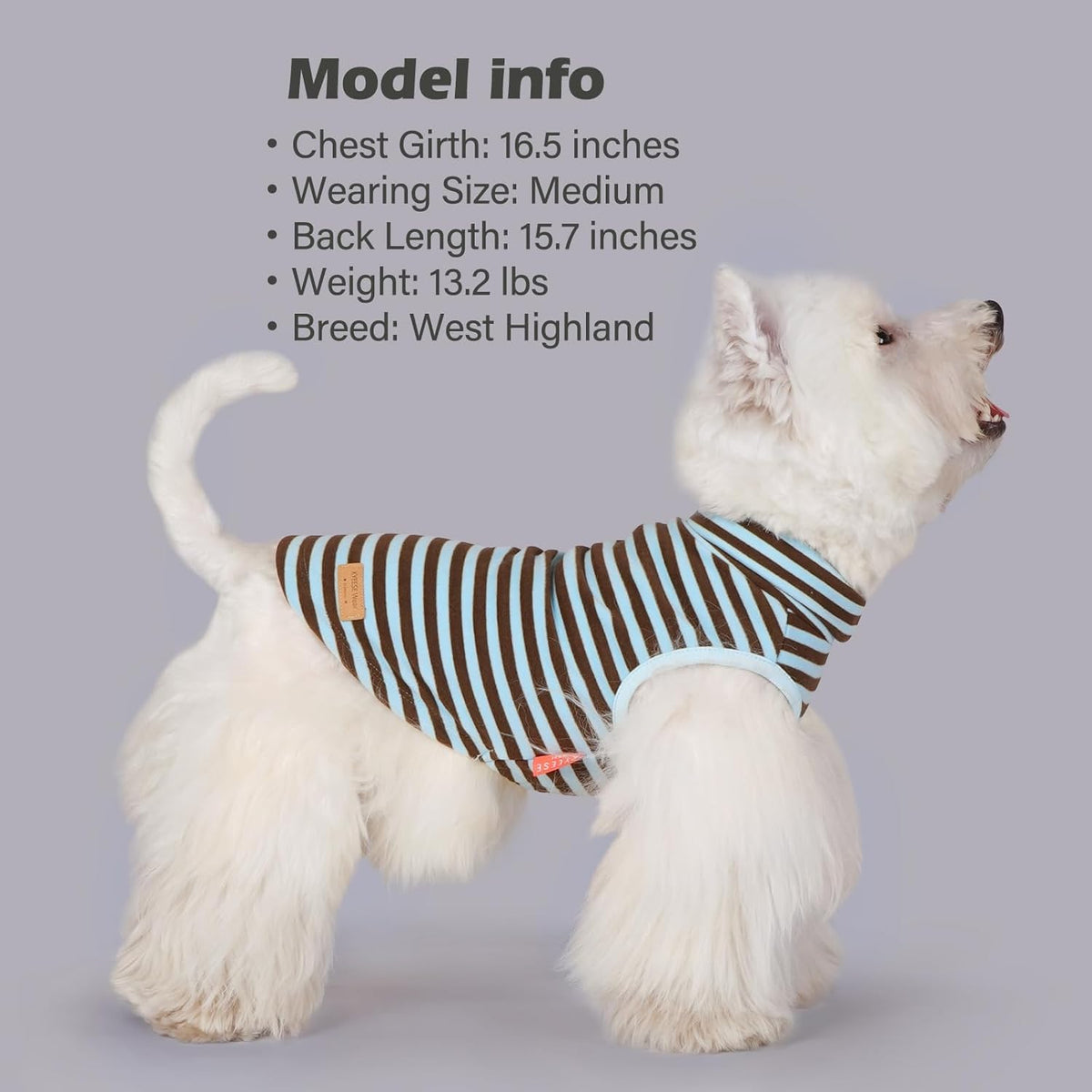 KYEESE 2Pack Dog Sweater Turtleneck Pet Clothes Warm Dogs Coats Stretchy Large Dog Sweaters for Medium Dogs Boy Pullover Pet Sweatshirt