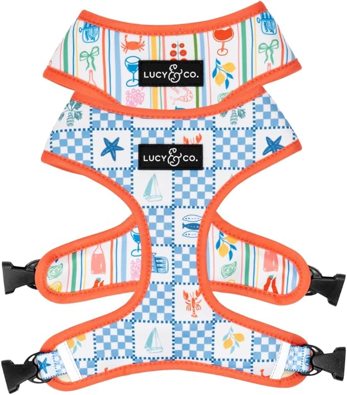 Lucy & Co. Sunny in Sicily Reversible Dog Harness, Adjustable Comfort Fit with Dual Leash Attachments, X-Small