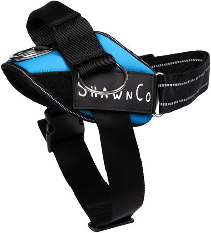 ShawnCo Essential Pro Dog Harness, No-Pull Pet Vest with 3 Leash Clips and Removable, Reflective Side Patches, Adjustable and Padded Harness for Small, Medium and Large Dogs (Oceanic Blue, XL)
