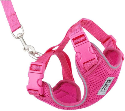 RC Pets Adventure Kitty Cat Harness | Adjustable Airmesh Vest with D-Ring and 6ft Leash for Walking and Travel | Raspberry, Large