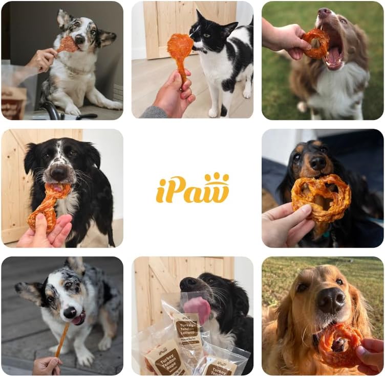iPaw Turkey Tendons for Dogs, 100% Turkey and US Sourced Raw Material, Hypoallergenic, All Natural Human Grade Puppy Chew, Rawhide Alternative Dog Treats, 1 Unit/Pack Strip (Large)