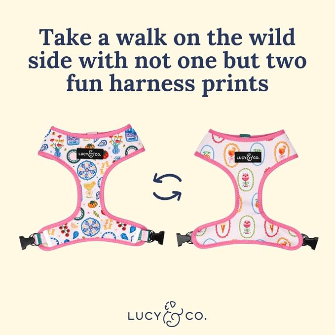 Lucy & Co. Dolce Vita Reversible Dog Harness, Adjustable Comfort Fit with Dual Leash Attachments, Large
