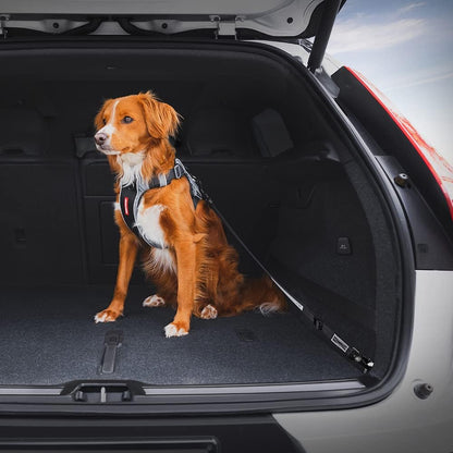 EzyDog Click ISOFIX Standard - Dog Seat Belt Car Harness Attachment for Dogs - Adjustable Dog Restraints Seatbelts for Car Travel and Safety - (17in - 26in, Black)