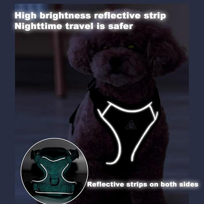 SOLMOONY Small Dog Harness,Soft Mesh Puppy Harness and Leash Set,No Escape Cat Harnesses for Training Walking,Reflective Adjustable Puppy Vest for Small Medium Dogs, Cats (Navy Blue, S)