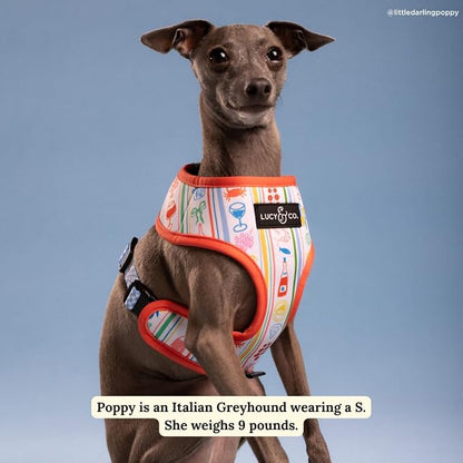 Lucy & Co. Sunny in Sicily Reversible Dog Harness, Adjustable Comfort Fit with Dual Leash Attachments, X-Small