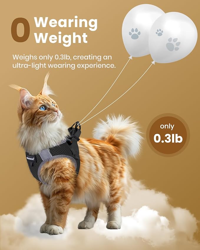 FAYOGOO Cat Harness and Leash Set | Upgrade Step-in Escape Proof Harness | Lightweight Soft Vest, No-Choke Design for Walking, Travel, Camping (Black)