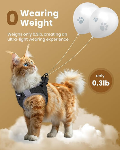 FAYOGOO Cat Harness and Leash Set | Upgrade Step-in Escape Proof Harness | Lightweight Soft Vest, No-Choke Design for Walking, Travel, Camping (Black)