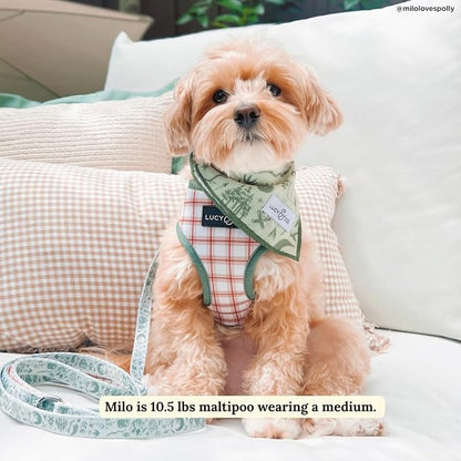 Lucy & Co. Reversible Dog Harness - Water-Repellent Neoprene, Dual-Print Design, Easy Swap Style, Adjustable Comfort Fit - Camp Out Reversible Harness - X-Small