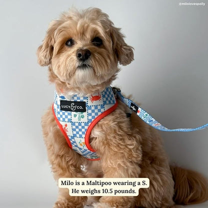 Lucy & Co. Sunny in Sicily Reversible Dog Harness, Adjustable Comfort Fit with Dual Leash Attachments, X-Small