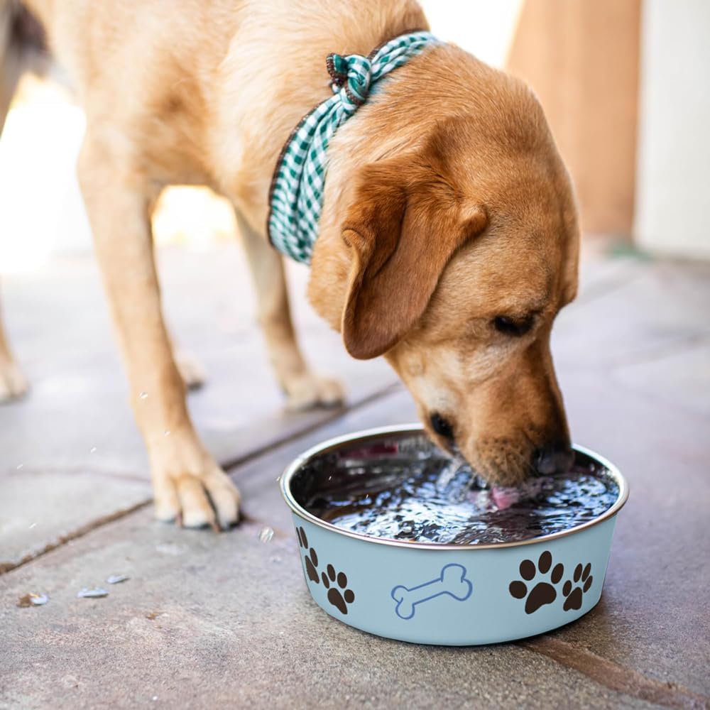 Loving Pets Bella Bowl, Dog Bowl, Extra Large, Murano Blue