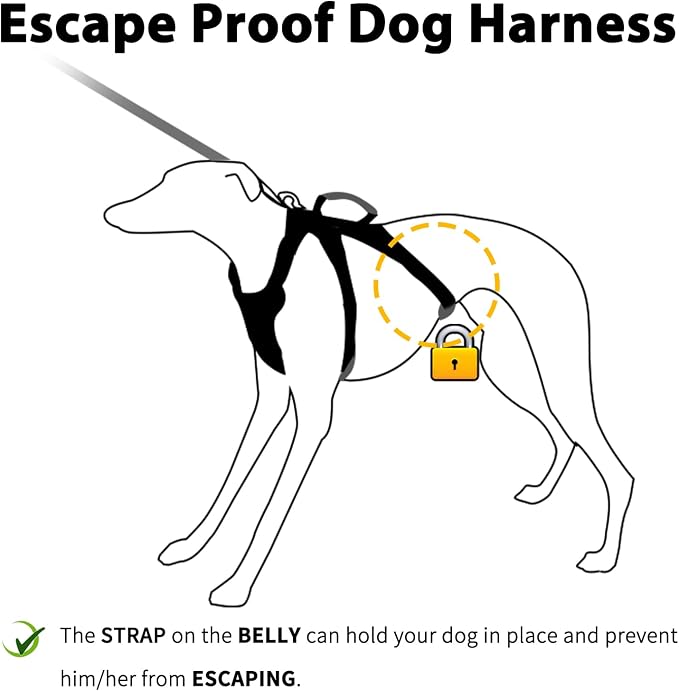 Escape Proof Dog Harness, No Pull Reflective Harness with Lift Handle, Adjustable Pet Vest with Front and Back Leash Clips for Small Medium Large Dogs Walking Hiking Training (Pink,XL)