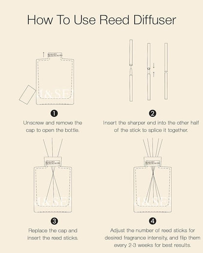 M&SENSE Wild Rose Reed Diffuser Set