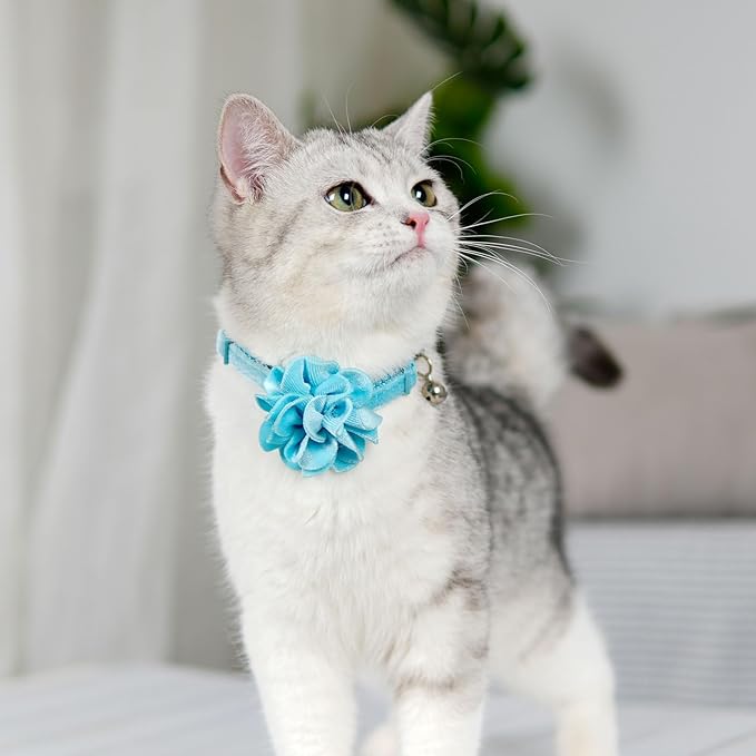 azuza 2 Pack Cat Collar Floral with Bell and Removable Flower Bowtie Breakaway Adjustable Velvet Fabric Cat Collar for Pets and Daily Decoration，Blue & Royal Blue