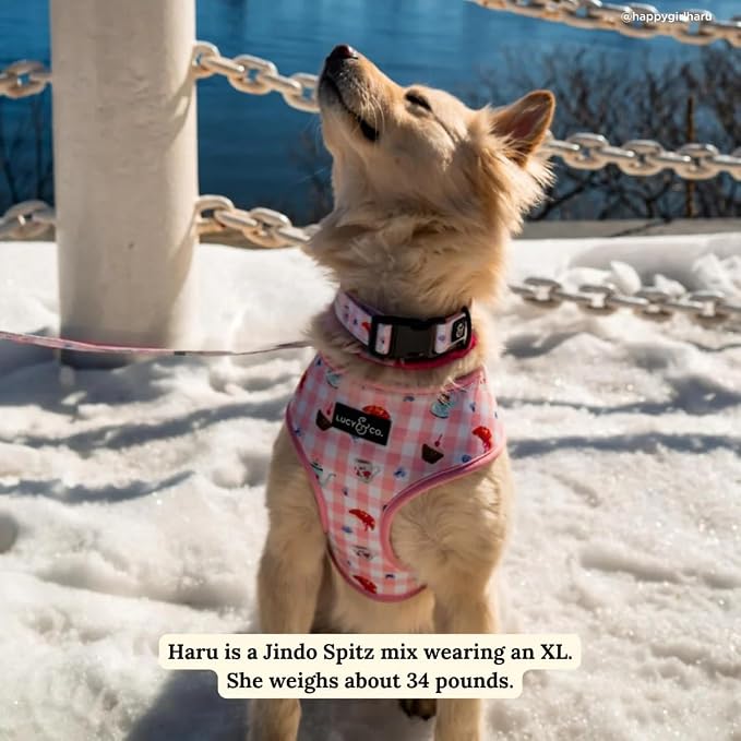 Lucy & Co. Reversible Dog Harness - Water-Repellent Neoprene, Dual-Print Design, Easy Swap Style, Adjustable Comfort Fit - Sipping Slowly Reversible Harness - X-Large