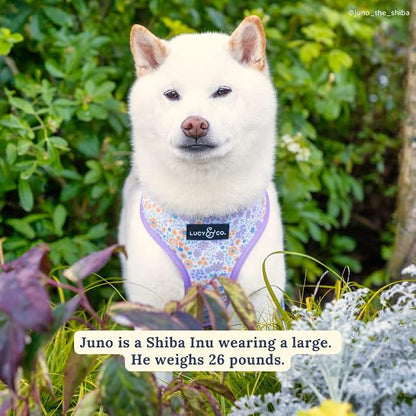 Lucy & Co. Reversible Dog Harness - Water-Repellent Neoprene, Dual-Print Design, Easy Swap Style, Adjustable Comfort Fit - Among Wildflowers Reversible Harness - Large